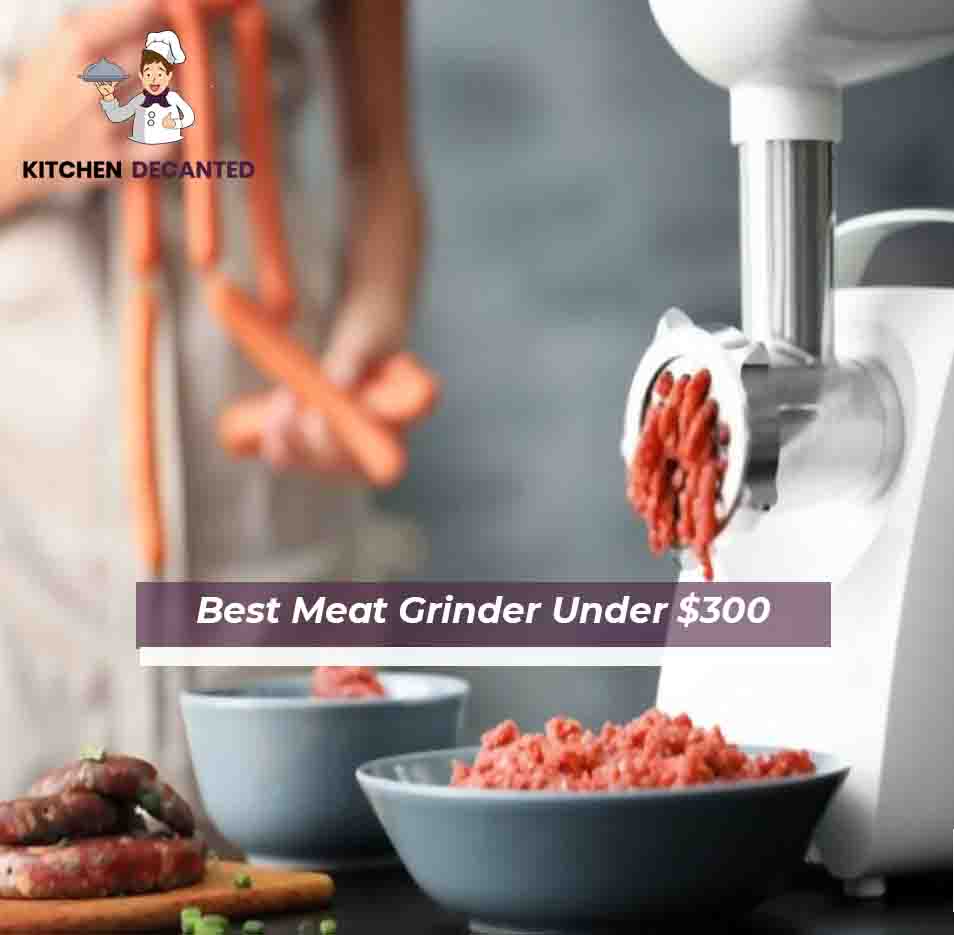 Best Meat Grinder Under $300