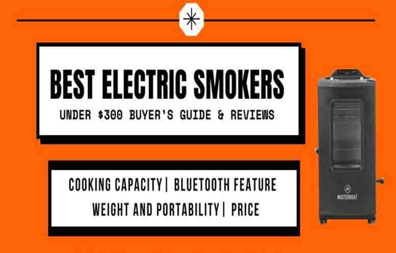 Best Electric Smokers Under $300