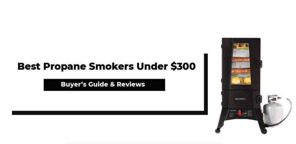 Best Propane Smokers Under $300