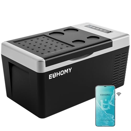 Best 12V Car Refrigerator