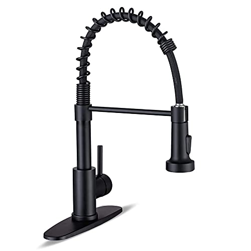 Best Black Kitchen Faucet