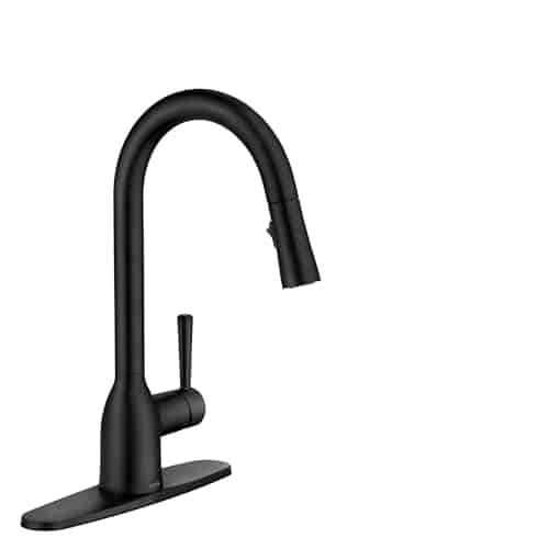 Best Kitchen Faucet With Pull Out Sprayer