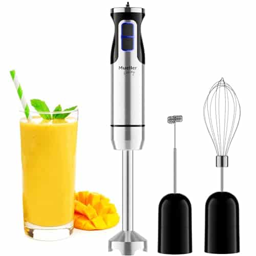 Best Stick Blender for Soup