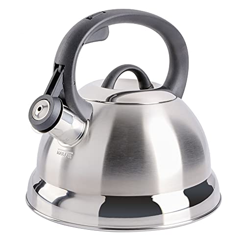 Best Tea Kettle for Induction Stove